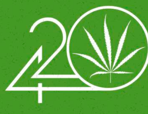 Logic Behind Cannabis Legalization
